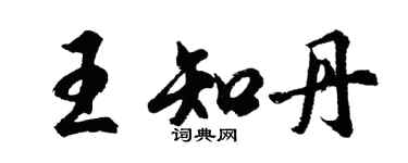 胡問遂王知丹行書個性簽名怎么寫