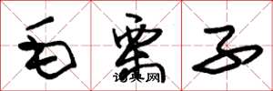朱錫榮毛栗子草書怎么寫