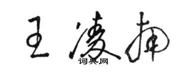 駱恆光王凌南草書個性簽名怎么寫