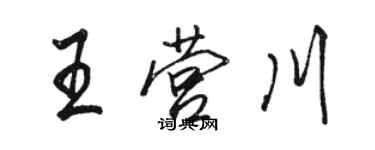 駱恆光王營川行書個性簽名怎么寫