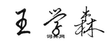 駱恆光王學森行書個性簽名怎么寫