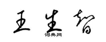 梁錦英王生智草書個性簽名怎么寫