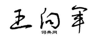 曾慶福王向軍草書個性簽名怎么寫