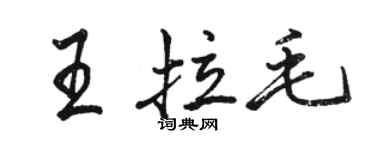 駱恆光王拉毛行書個性簽名怎么寫