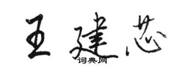 駱恆光王建芯行書個性簽名怎么寫