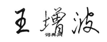 駱恆光王增波行書個性簽名怎么寫