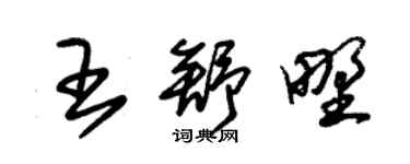 朱錫榮王舒野草書個性簽名怎么寫