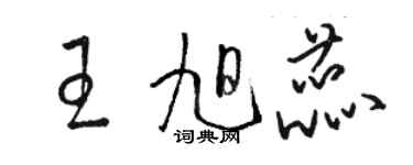 駱恆光王旭蕊草書個性簽名怎么寫