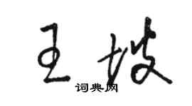 駱恆光王坡草書個性簽名怎么寫