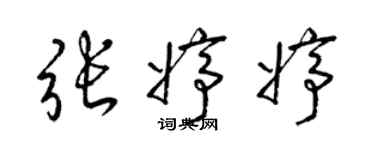 梁錦英張婷婷草書個性簽名怎么寫