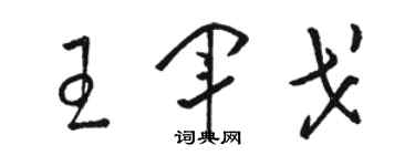 駱恆光王軍戈草書個性簽名怎么寫