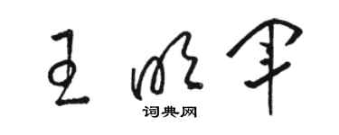 駱恆光王明軍草書個性簽名怎么寫