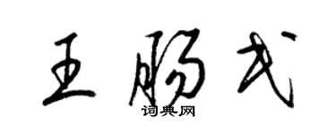 梁錦英王腸民草書個性簽名怎么寫