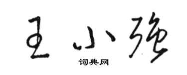 駱恆光王小強草書個性簽名怎么寫