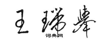 駱恆光王瑞舉草書個性簽名怎么寫