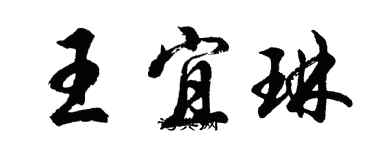 胡問遂王宜琳行書個性簽名怎么寫