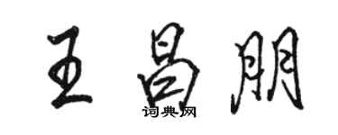 駱恆光王昌朋行書個性簽名怎么寫