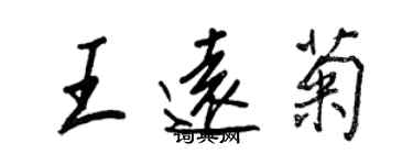 王正良王遠菊行書個性簽名怎么寫