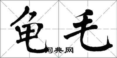 翁闓運龜毛楷書怎么寫