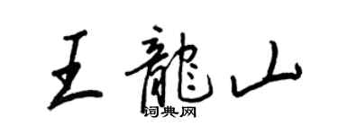 王正良王龍山行書個性簽名怎么寫