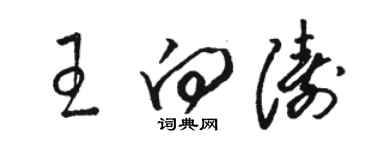 駱恆光王向濤草書個性簽名怎么寫