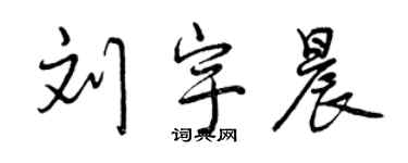 曾慶福劉宇晨行書個性簽名怎么寫