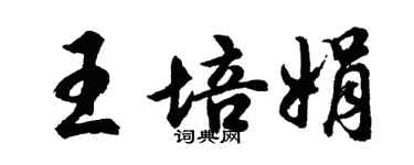 胡問遂王培娟行書個性簽名怎么寫
