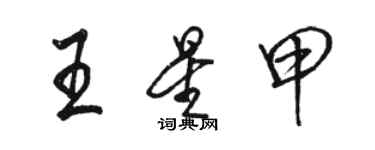 駱恆光王星甲行書個性簽名怎么寫