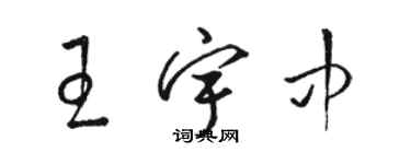 駱恆光王宇中草書個性簽名怎么寫