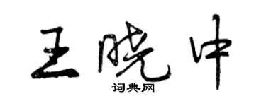 曾慶福王曉中行書個性簽名怎么寫