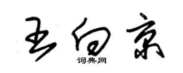 朱錫榮王向京草書個性簽名怎么寫