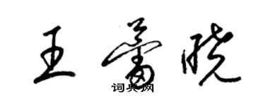 梁錦英王蕾曉草書個性簽名怎么寫