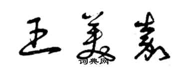 曾慶福王美嘉草書個性簽名怎么寫