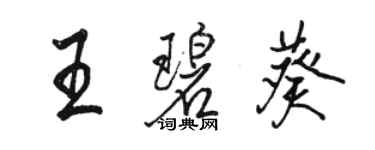 駱恆光王碧葵行書個性簽名怎么寫