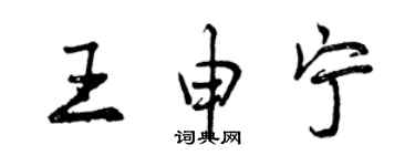 曾慶福王申寧行書個性簽名怎么寫