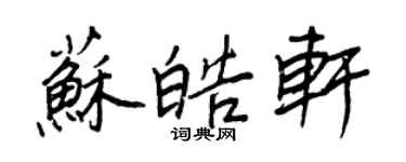 王正良蘇皓軒行書個性簽名怎么寫