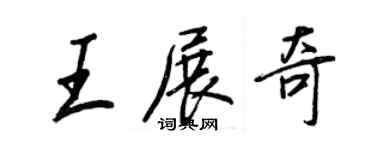 王正良王展奇行書個性簽名怎么寫