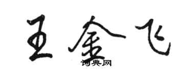 駱恆光王金飛行書個性簽名怎么寫