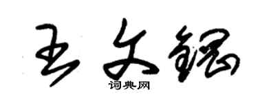 朱錫榮王文鋼草書個性簽名怎么寫