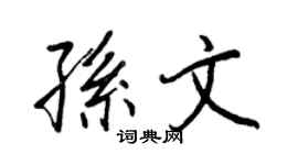 王正良孫文行書個性簽名怎么寫