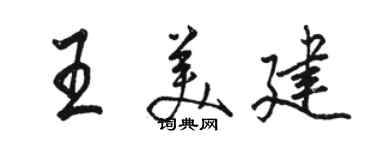 駱恆光王美建行書個性簽名怎么寫