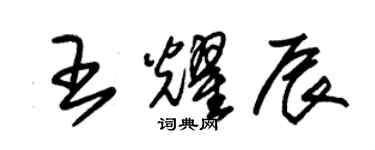 朱錫榮王耀辰草書個性簽名怎么寫