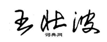 朱錫榮王壯波草書個性簽名怎么寫