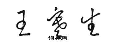 駱恆光王寒生草書個性簽名怎么寫