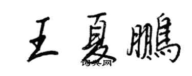 王正良王夏鵬行書個性簽名怎么寫
