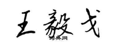 王正良王毅戈行書個性簽名怎么寫