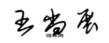 朱錫榮王尚展草書個性簽名怎么寫