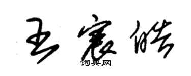 朱錫榮王宸皓草書個性簽名怎么寫