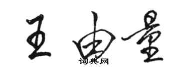 駱恆光王由量行書個性簽名怎么寫