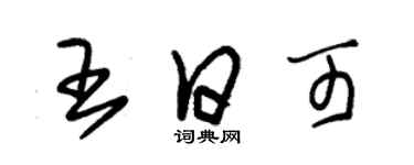 朱錫榮王日可草書個性簽名怎么寫